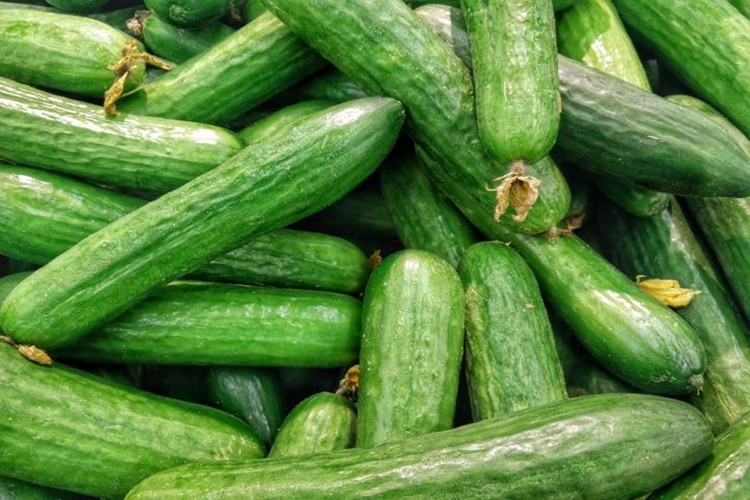 Pepino: 40 benefícios, informação nutricional e malefícios