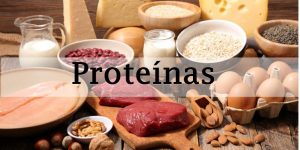 proteina