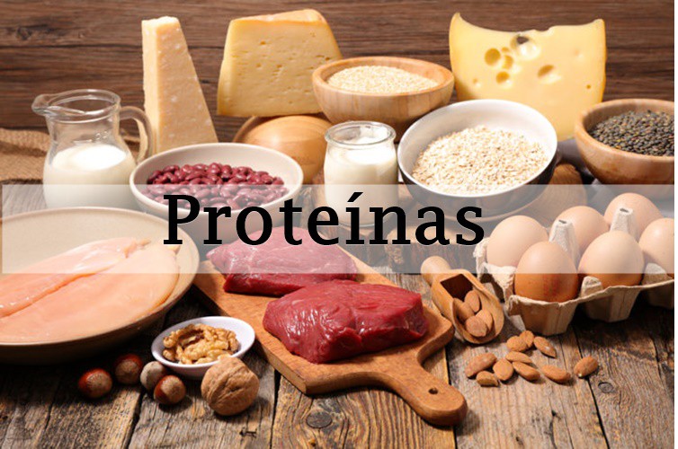 proteina