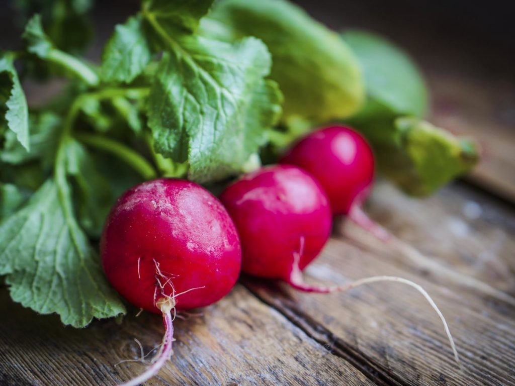 Rabanete : 40 benefícios, informação nutricional e malefícios