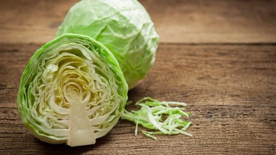 Repolho: 40 benefícios, informação nutricional e malefícios | Dr. Saúde