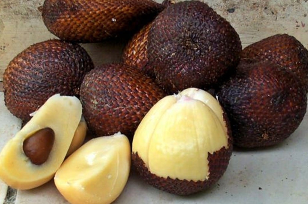 Salak fruta: 30 benefícios, informação nutricional e malefícios