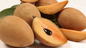 sapota