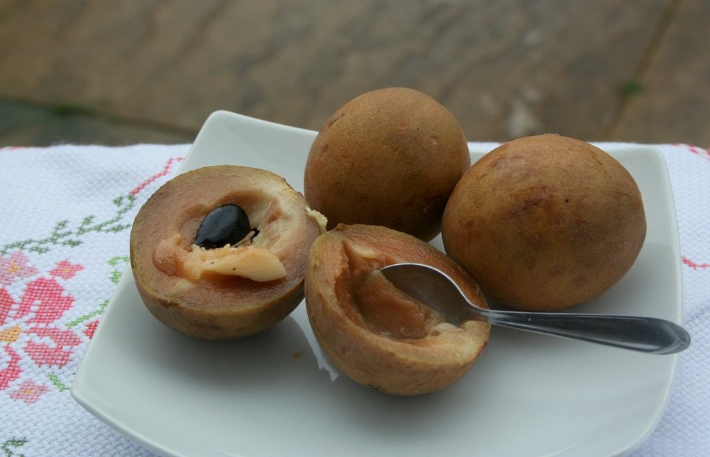 Suco de Sapoti é bom para quê? como fazer e para que serve