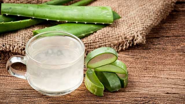 Suco de Aloe Vera é bom para quê? como fazer e para que serve