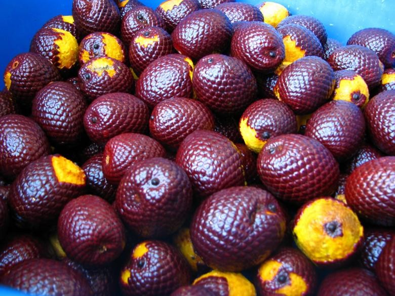 Suco de Buriti é bom para quê? como fazer e para que serve