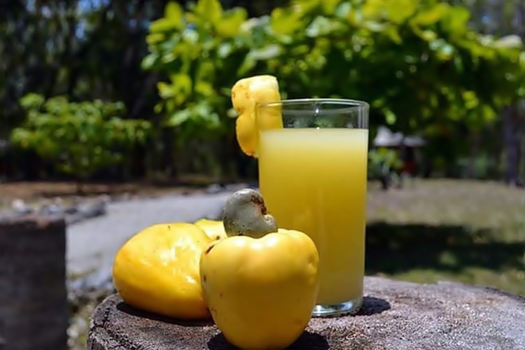 Suco de Caju é bom para quê? como fazer e para que serve