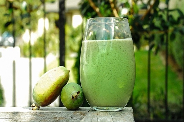 Suco de Feijoa é bom para quê? como fazer e para que serve