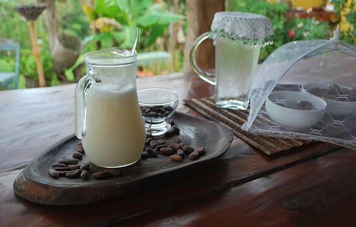 Suco de Cacau é bom para quê? como fazer e para que serve