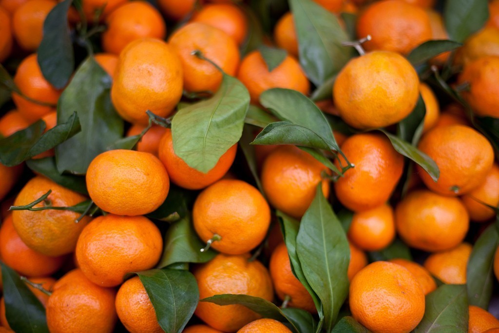 Suco de Tangerina é bom para quê? como fazer e para que serve