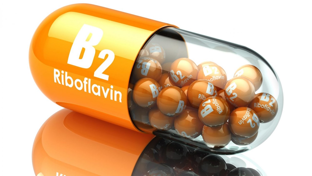 vitamina b2 fontes