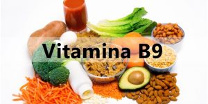 vitamina b9 fontes