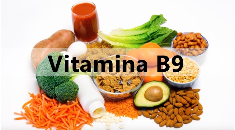 vitamina b9 fontes