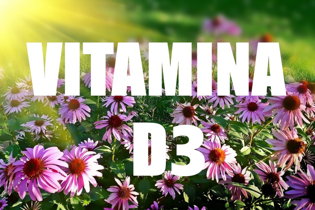 Vitamina D3: para que serve, alimentos, deficiência e como usar