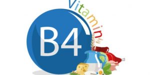 Alimento Vitamina B4