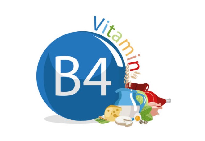 Alimento Vitamina B4