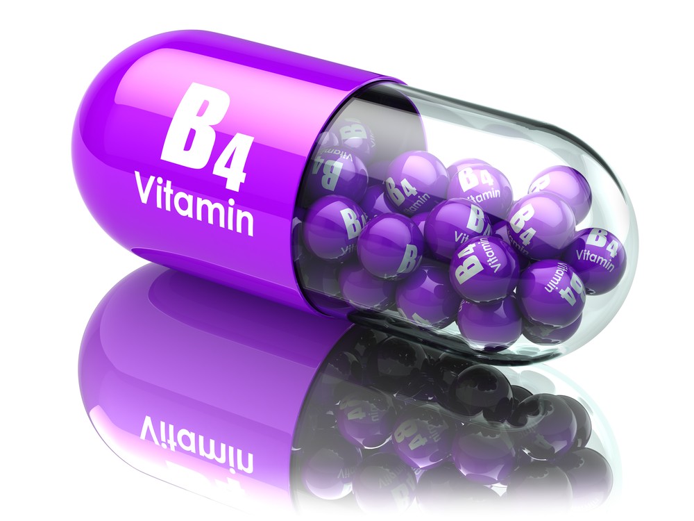 Alimentos Ricos em Vitamina B4