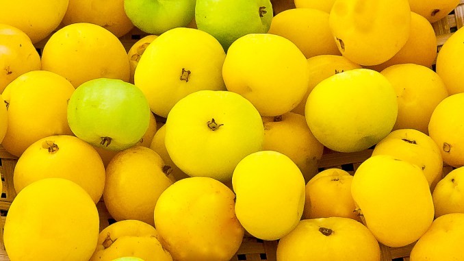 Cagaita fruta: 10 benefícios, informação nutricional e malefícios