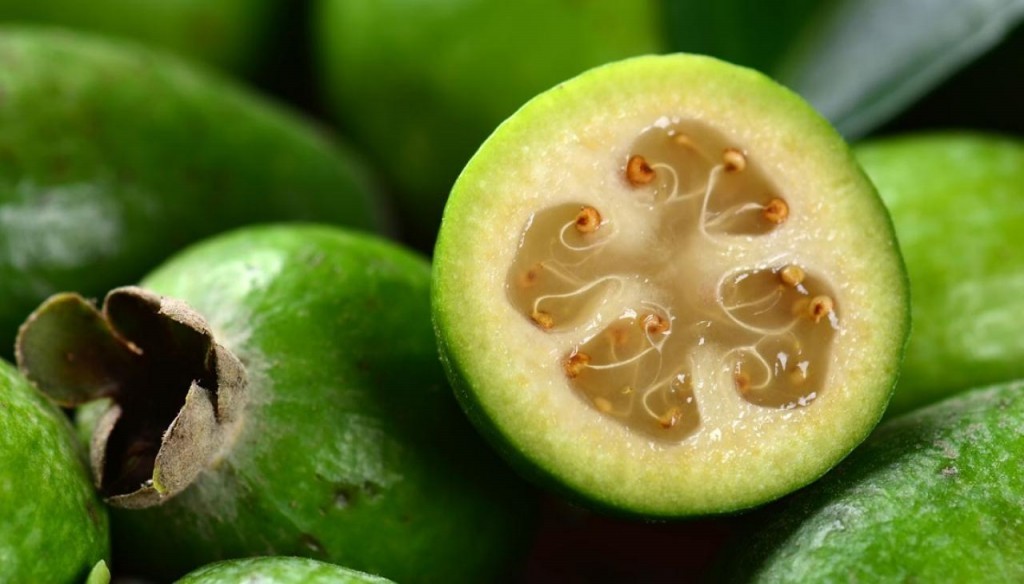 Goiaba Ananás Fruta: 10 benefícios, informação nutricional e malefícios