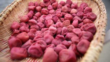 Umeboshi