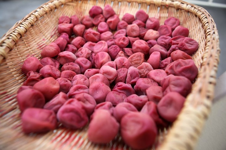 Umeboshi