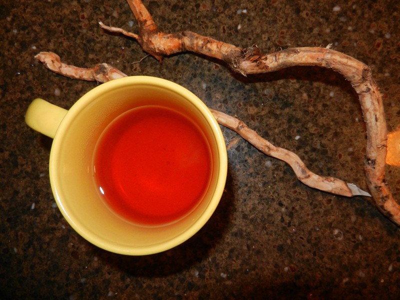 Chá de Sassafrás é bom para quê? para que serve, benefícios e malefícios