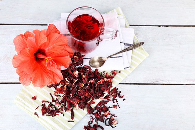 Hibisco é bom para quê? para que serve, benefícios e malefícios | Dr. Saúde