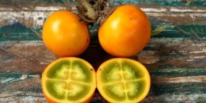 beneficios da naranjilla