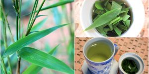 beneficios do cha de bambu