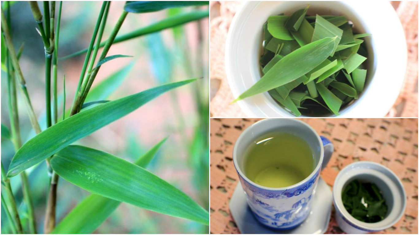 beneficios do cha de bambu