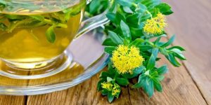 beneficios do cha de rhodiola rosea