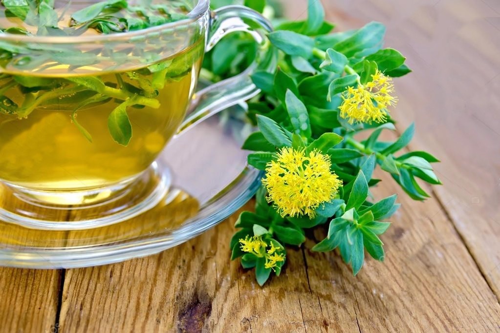 beneficios do cha de rhodiola rosea