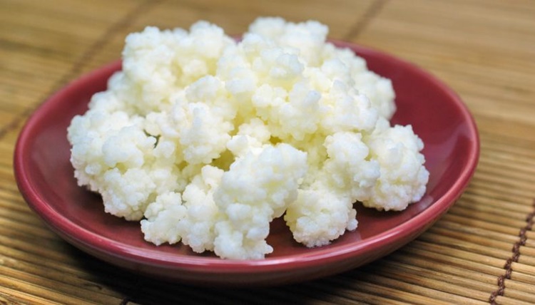 beneficios do kefir