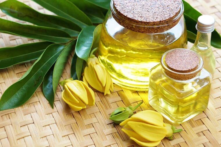 Óleo de Ylang Ylang para que serve? como tomar, benefícios e malefícios