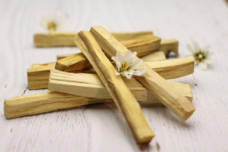 Palo Santo é bom para quê? para que serve, benefícios e malefícios