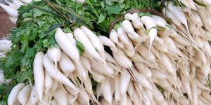 beneficios do rabanete daikon