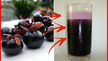 beneficios do suco de grumixama