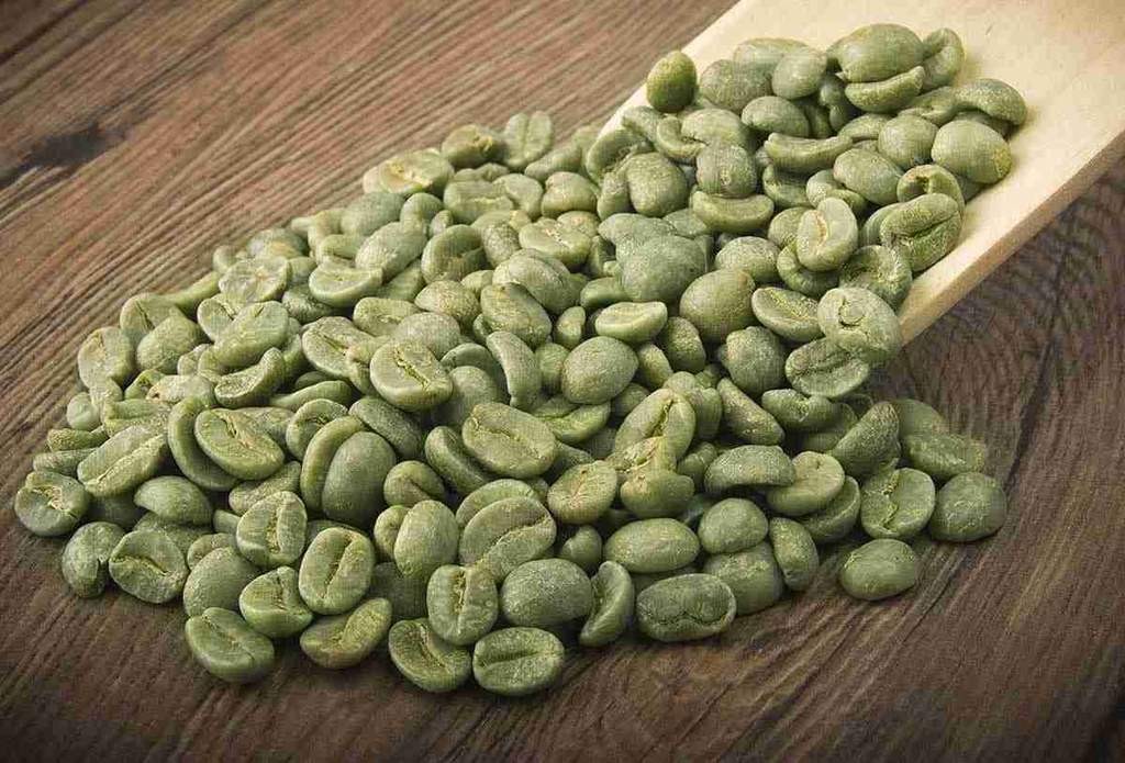 Café Verde é bom para quê? para que serve, benefícios e malefícios