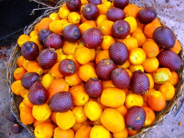 caroço de buriti