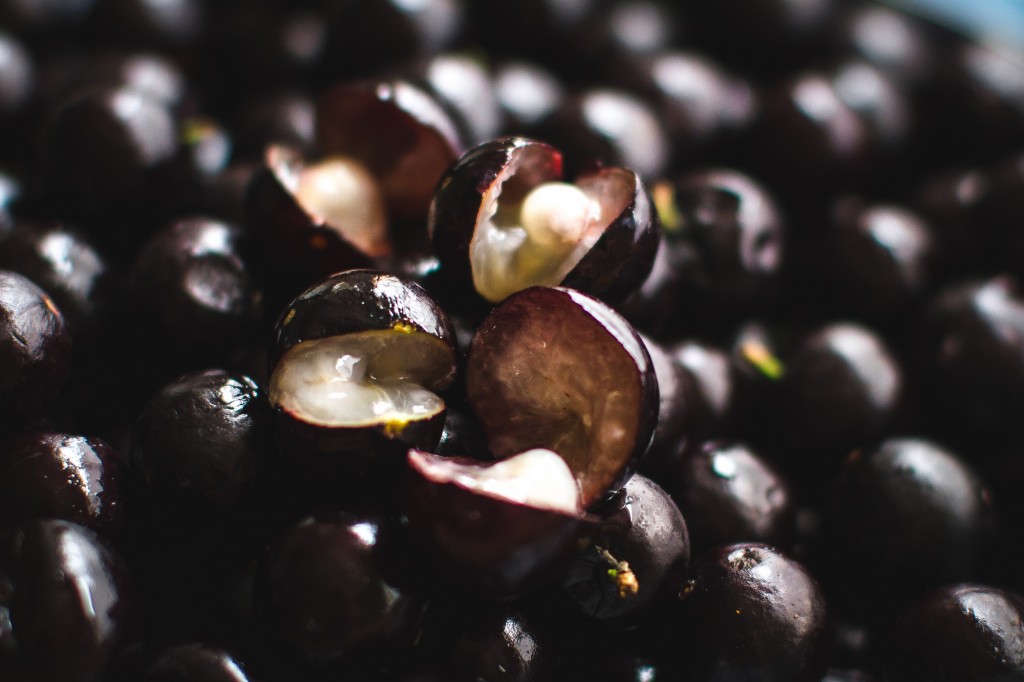 Caroço de Jabuticaba: 15 benefícios, informação nutricional e malefícios