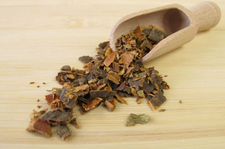 Chá de Cascara Sagrada serve para quê? Veja benefícios e como fazer