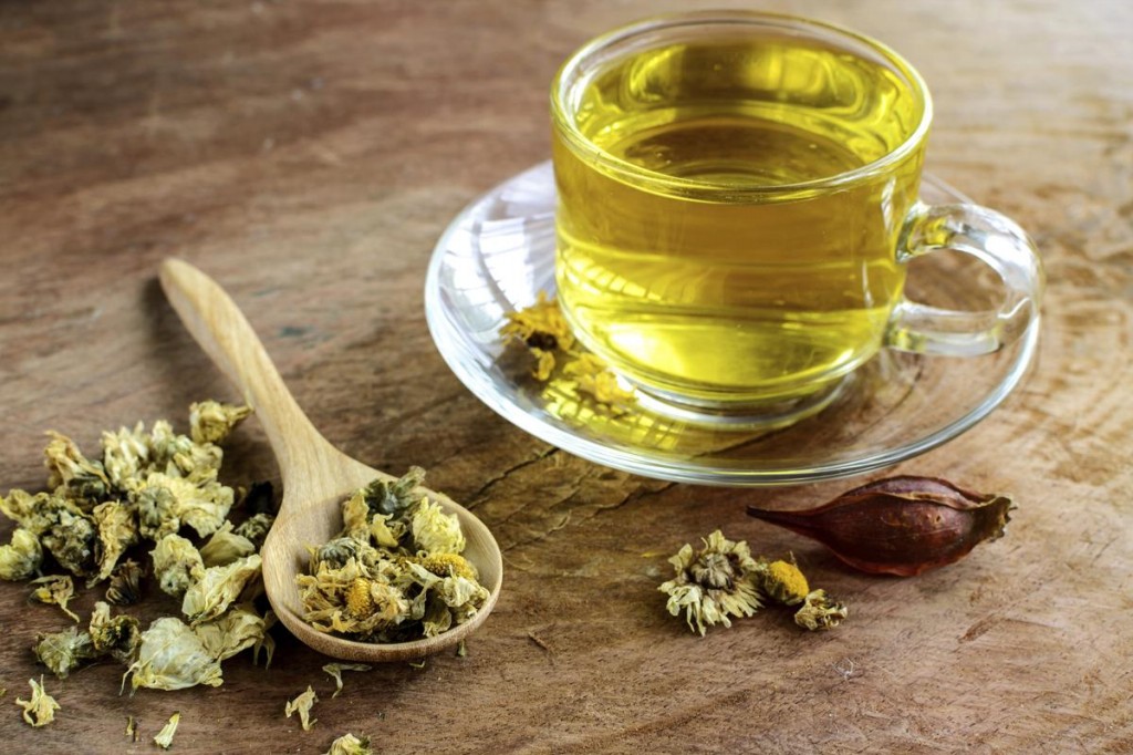 Chá de Crisântemo é bom para quê? para que serve, benefícios e malefícios