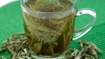 cha de limonete