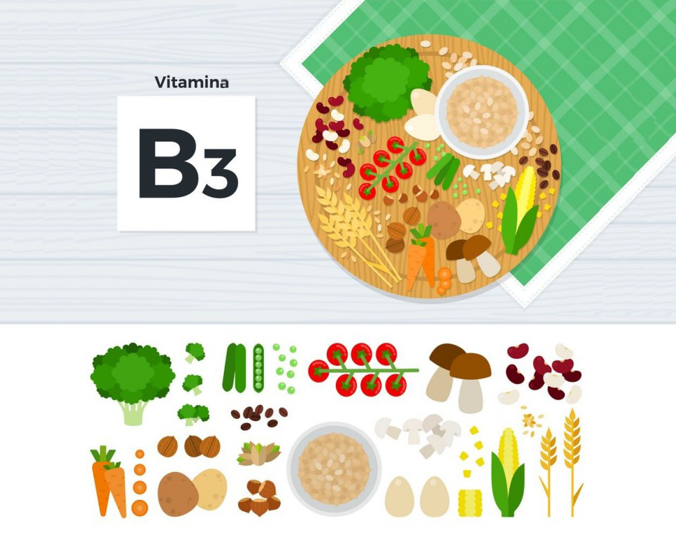 Vitamina B3 é bom para quê? para que serve, benefícios e malefícios