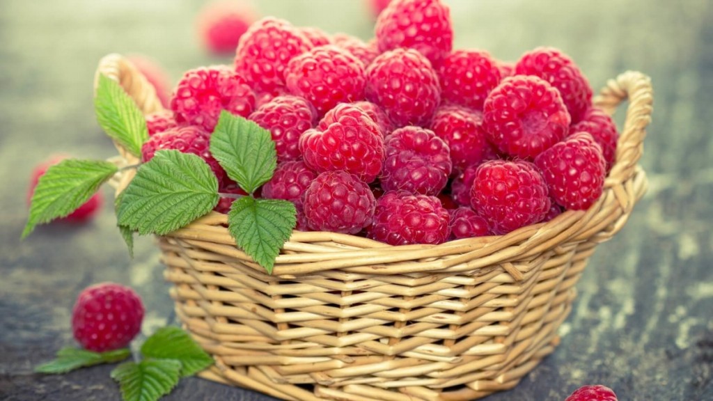 Framboesa fruta: 35 benefícios, informação nutricional e malefícios
