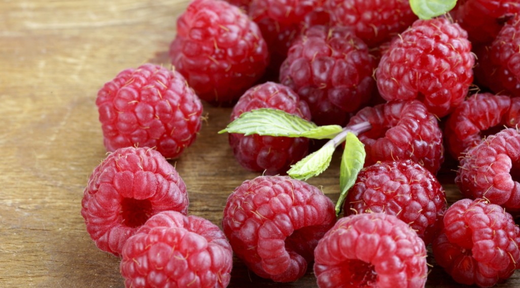Framboesa fruta: 35 benefícios, informação nutricional e malefícios