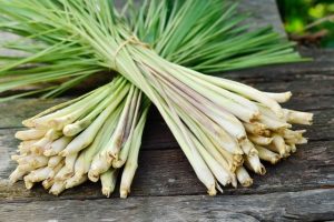 Lemongrass Lemongrass