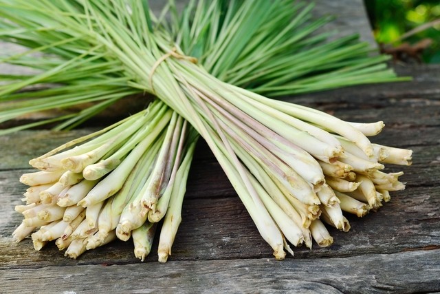 Óleo de Lemongrass para que serve? como tomar, benefícios e malefícios