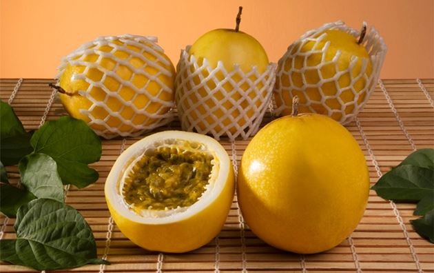 Maracujá Amarelo fruta: 20 benefícios, informação nutricional e malefícios