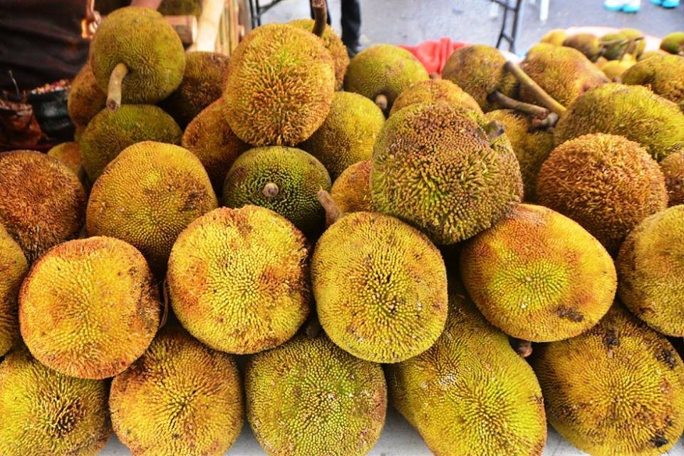 Marang fruta: 15 benefícios, informação nutricional e malefícios